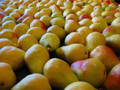 Pears garage Pears garage