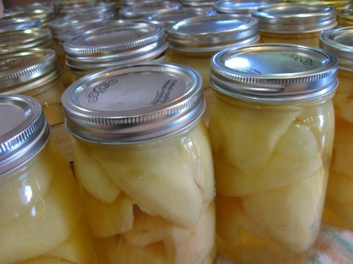 Pears canning Pears canning
