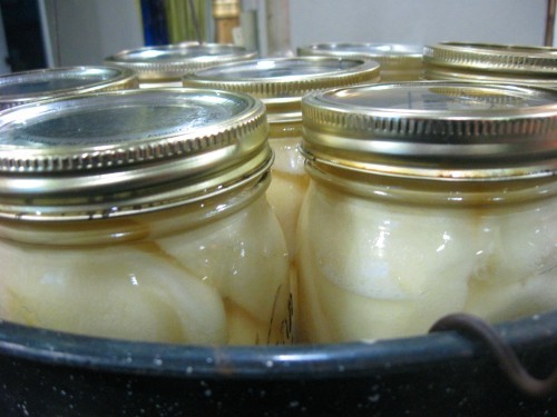 Pears canner Pears canner