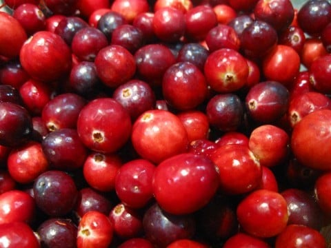 Fresh cranberries Fresh cranberries