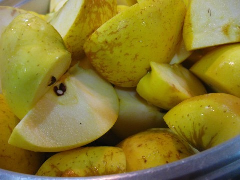 cut up apples