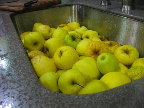 apples in sink