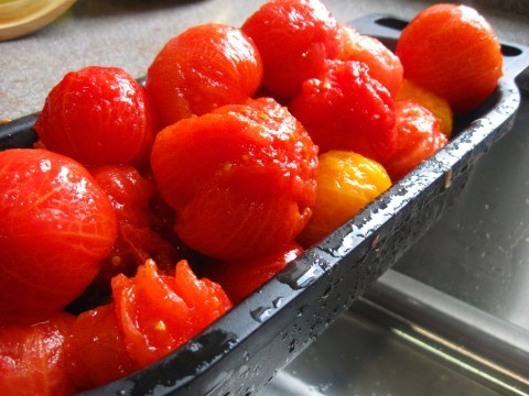 Blanched tomatoes Blanched tomatoes