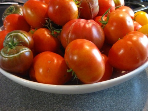 Red tomatoes Red tomatoes