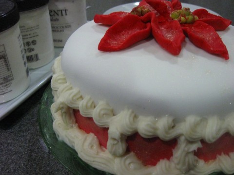 Abby Christmas cake