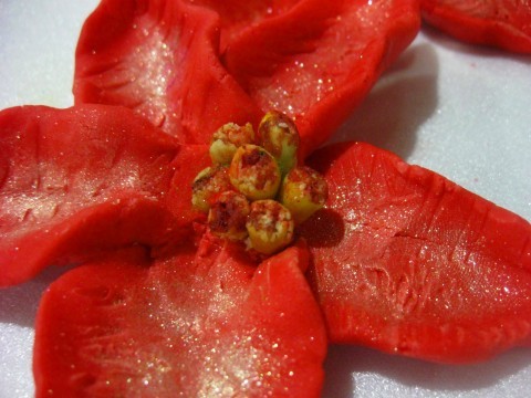 Abby Christmas flower