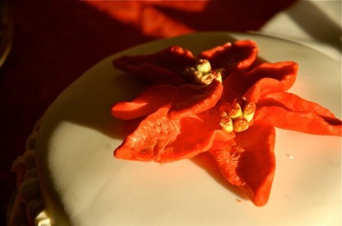 Abby Christmas cake