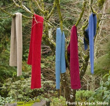 scarves_tree_sm