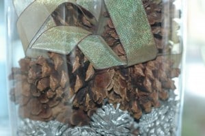 pine cones