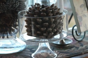 Pine cones