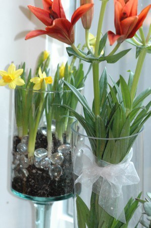 Fresh flowers
