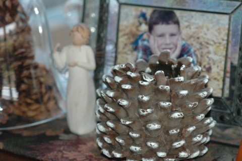 pine cones pine cones