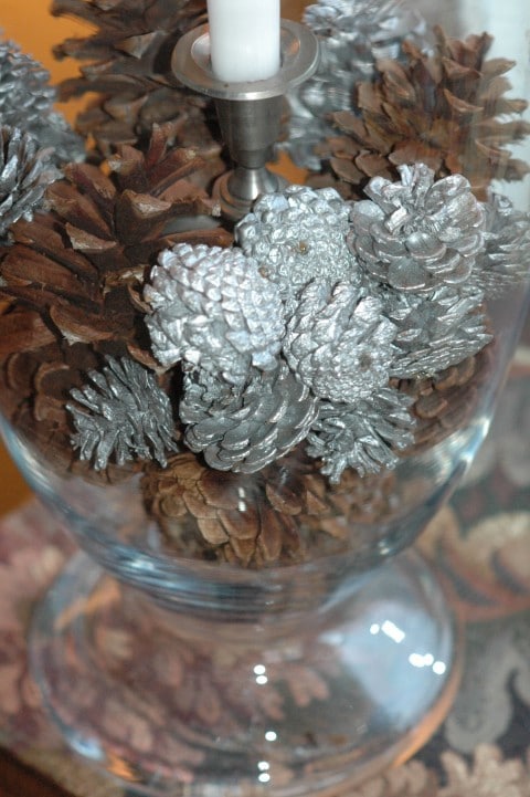 Pine cones Pine cones