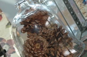 Pine cones