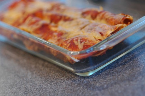 Cindy's enchiladas Cindy's enchiladas