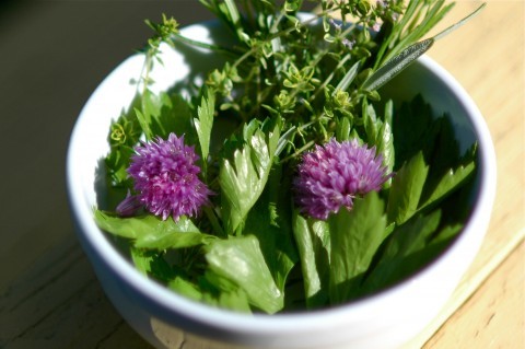 chives