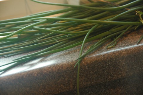 Chives