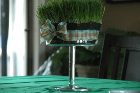 wheat grass