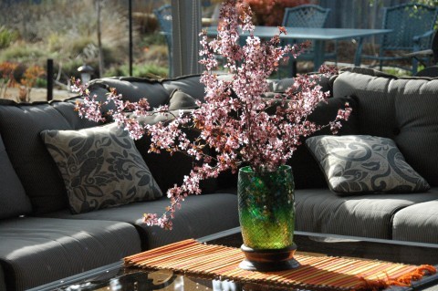 cherry blossom