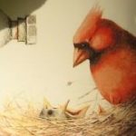cropped-img_28224