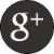 Google+
