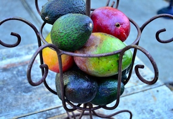 Guacamole and mango