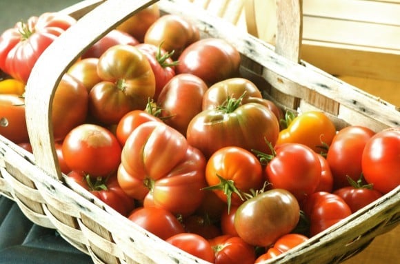 Tomatoes: 8 Money-Saving Tips on Gardening in the City