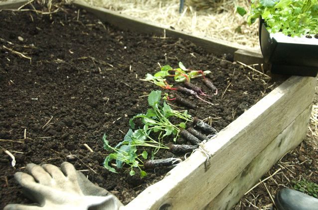 8 Money-Saving Tips on Gardening in the City - Raised Beds