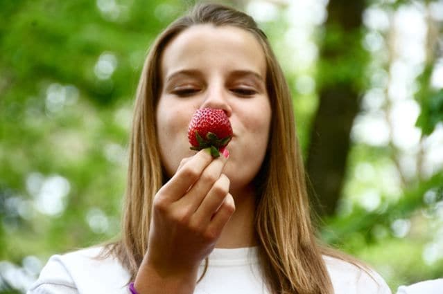 How to Store Strawberries