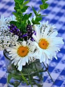 Flowers in canning jar | Sandy Coughlin