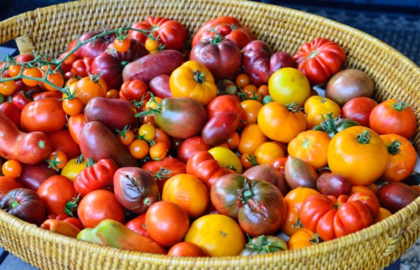 tray of fresh garden tomatoes