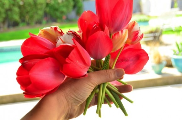 Tulip and Mint Tabletop