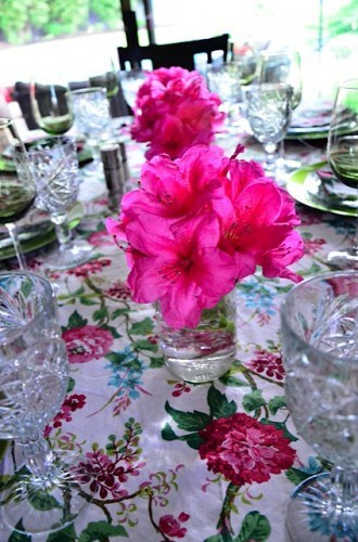 Rhododendron Tabletop