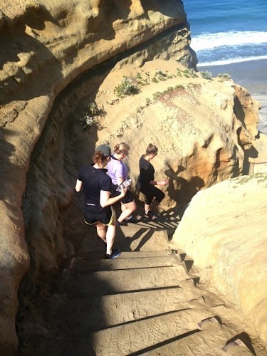 Torrey Pines State Park