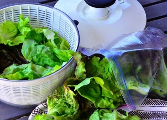 Why buy a salad spinner