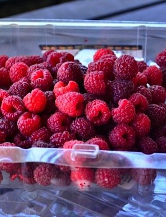 storing berries