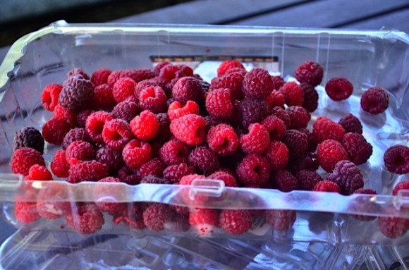 How to Store Berries: How to Store Fresh Fruit, Containers the Preserve  Fresh Fruit