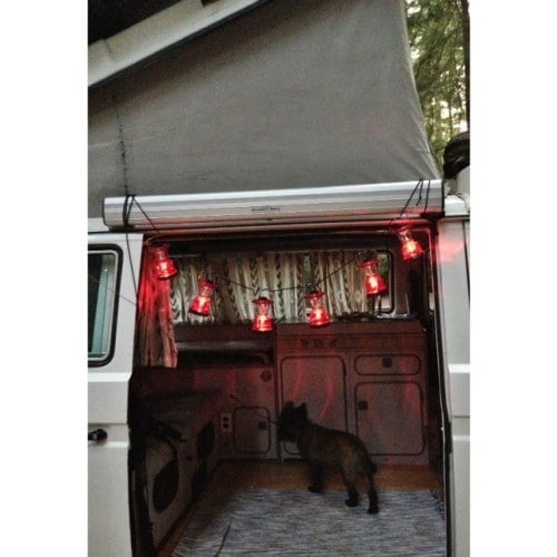 Glamping party lights