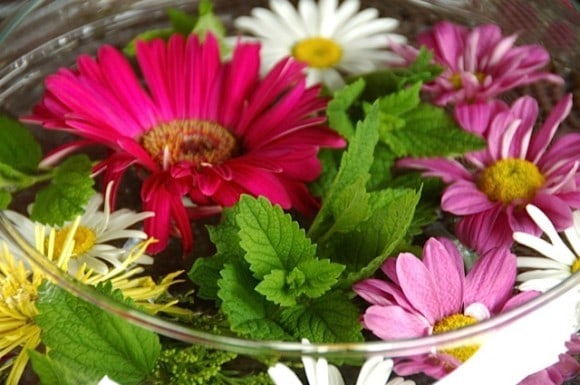 Flowers and mint