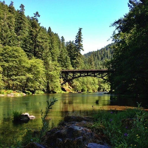 Fly Fishing North Umpqua River and Steamboat Inn with Summer Run Guide  Service