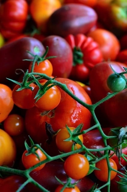 Garden tomatoes