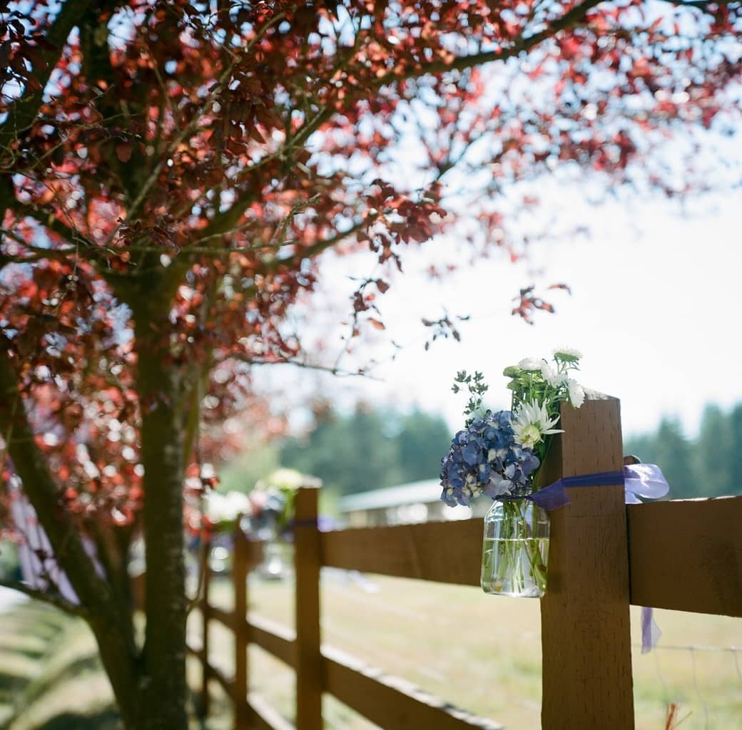 Bainbridge Island Wedding {Bryan Johnson Photography}