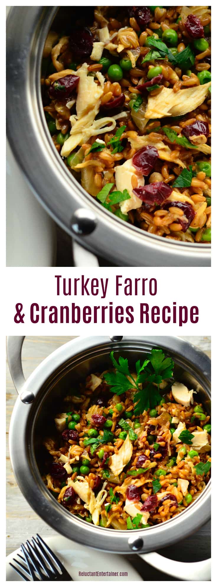 Turkey Farro Cranberries Recipe