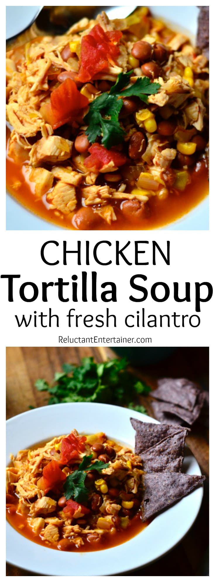 Chicken Tortilla Soup with Fresh Cilantro