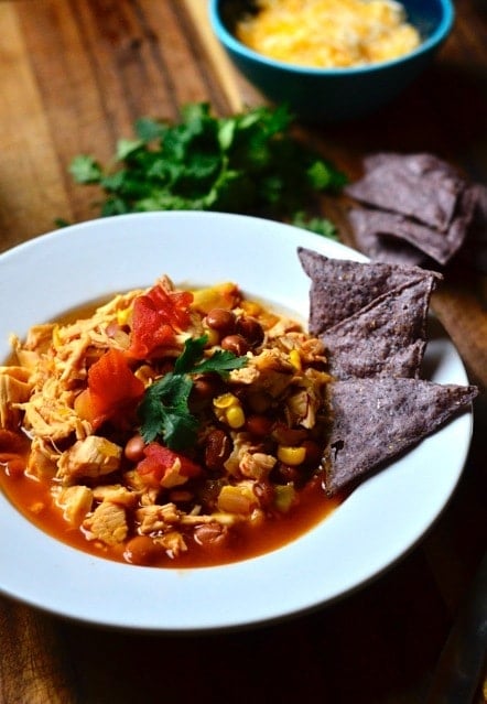 Chicken Tortilla Soup with Fresh Cilantro