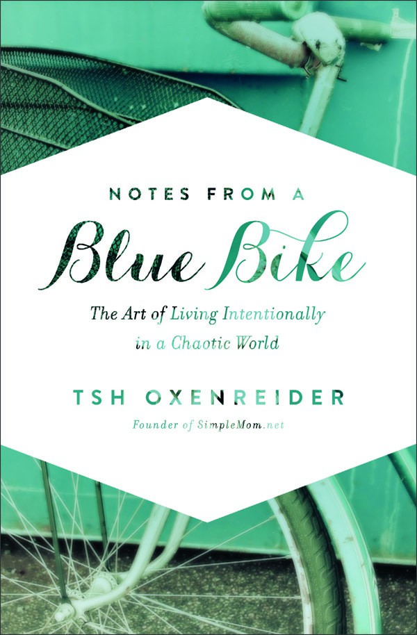 Notes from a Blue Bike