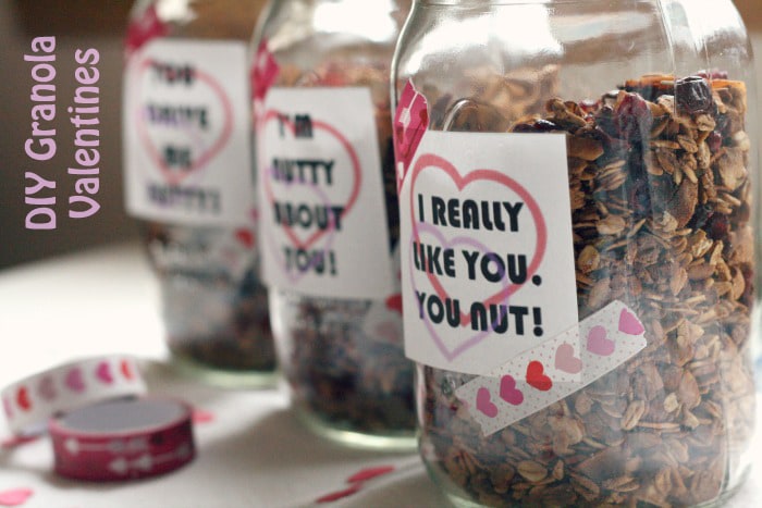 DIY Granola Valentine's Day