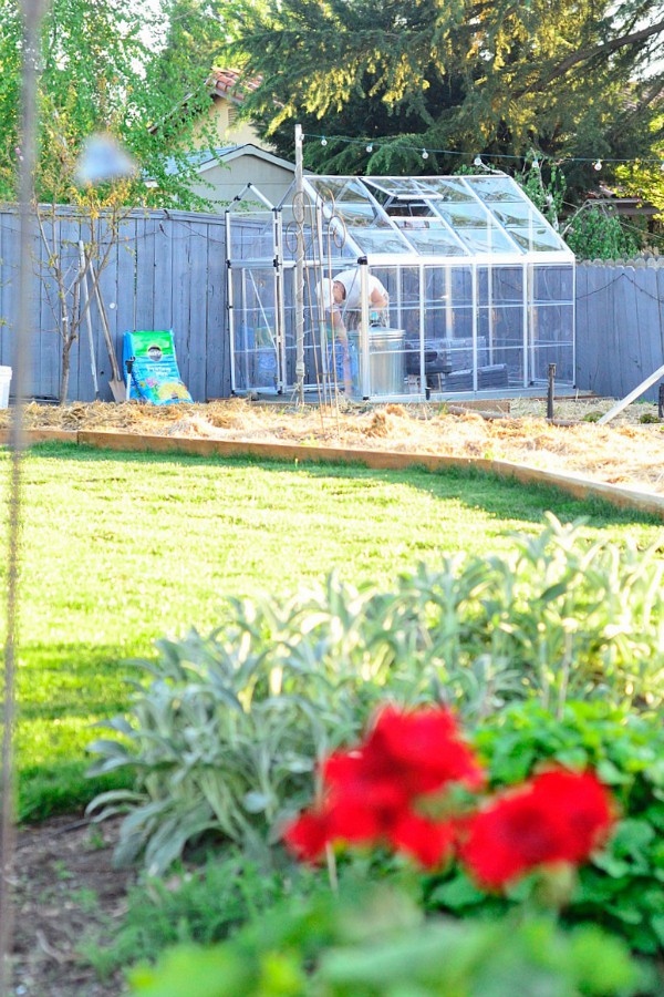 DIY Garden Project: Lowe's Home Improvement Polycarbonate Greenhouse