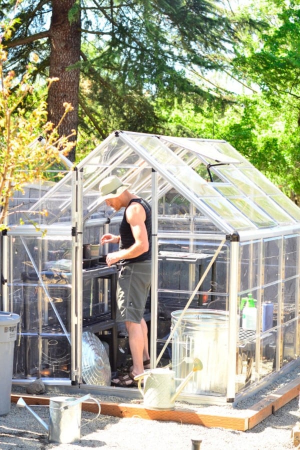 DIY Garden Project: Lowe's Home Improvement Polycarbonate Greenhouse