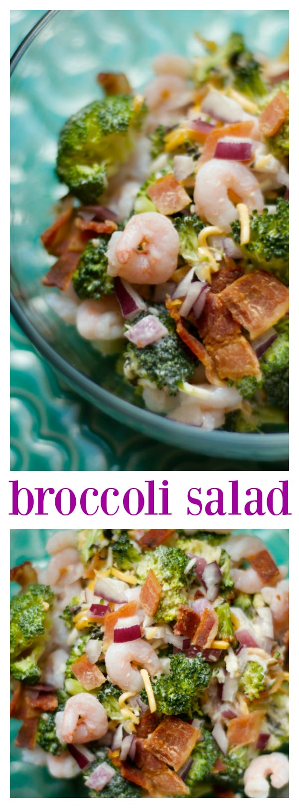 Broccoli Salad Recipe